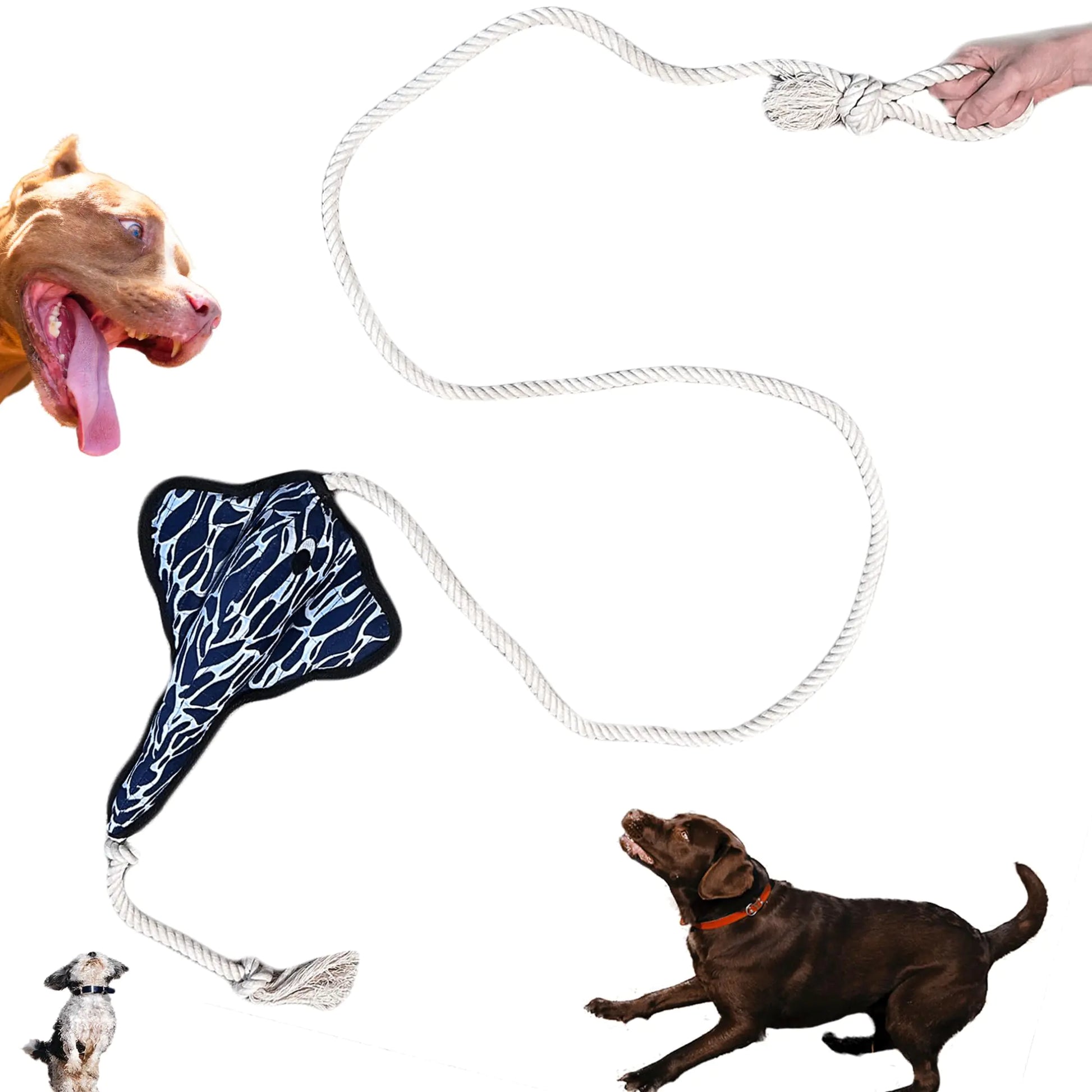 Pet Stingray Rope Toy