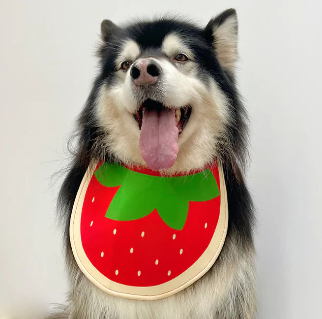 Thick Waterproof Triangle Scarf Towel for Dogs
