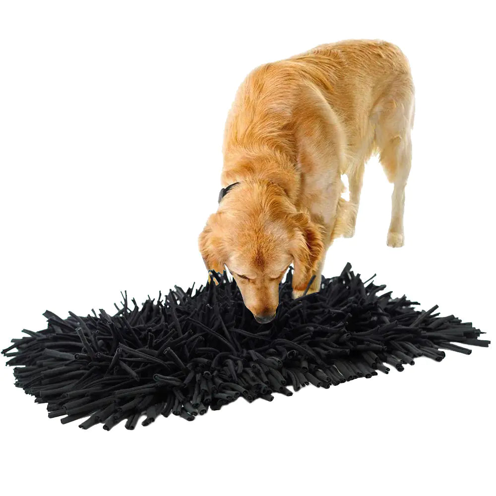 Soft Training Blanket