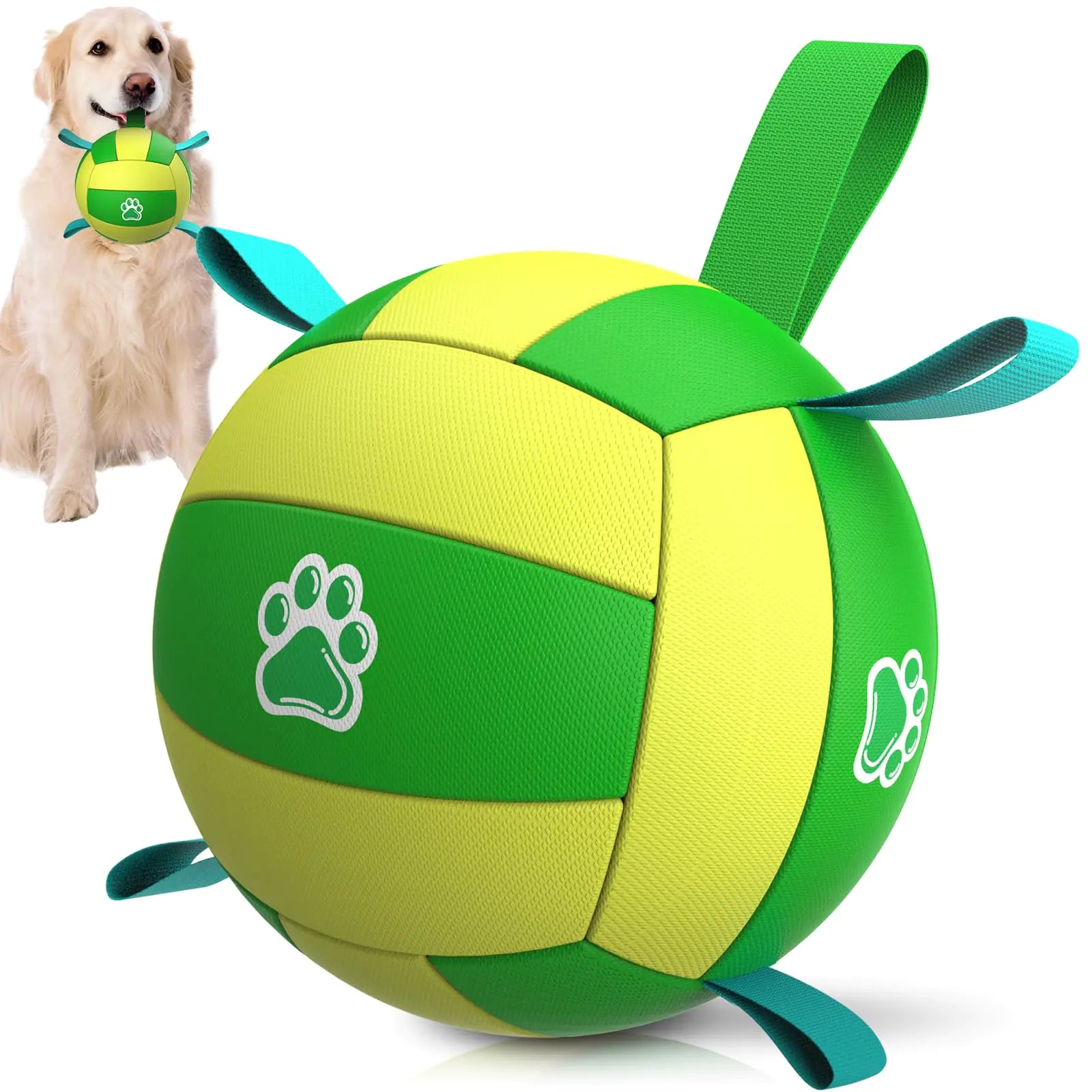Dog Herding Ball