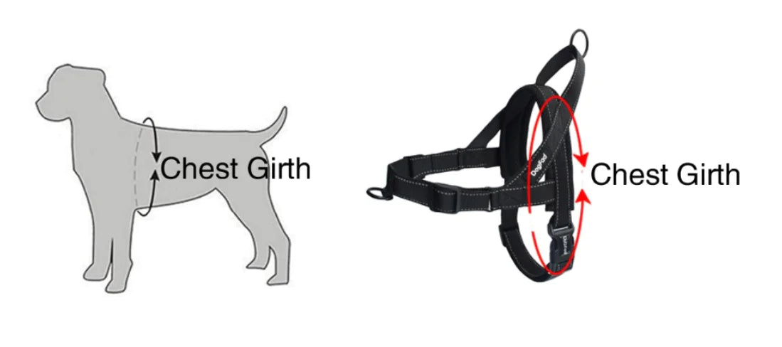 Pet Dog Harness with Leash for Walking