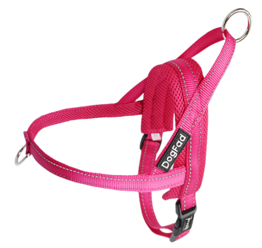 Pet Dog Harness with Leash for Walking