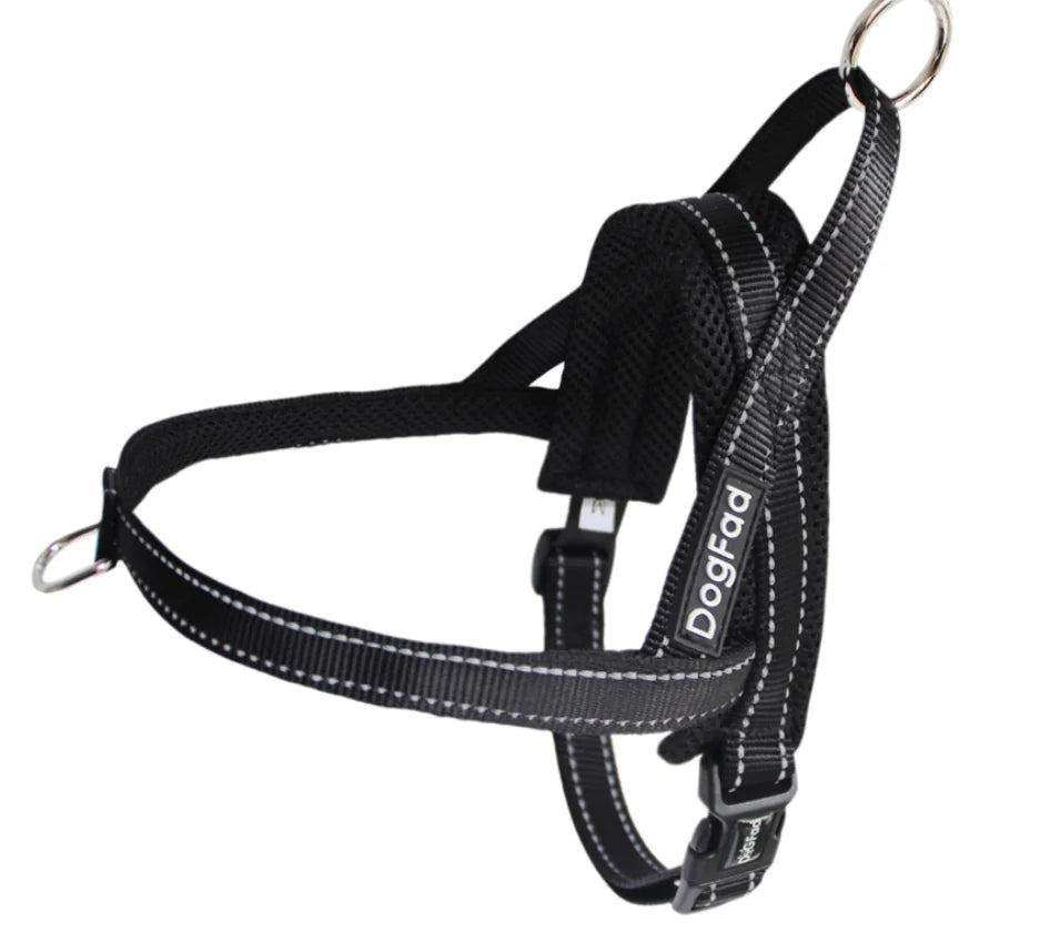 Pet Dog Harness with Leash for Walking