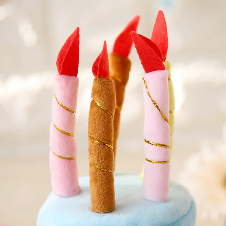 Pet Transformation Hat - Cute Cat Birthday Cake Hat