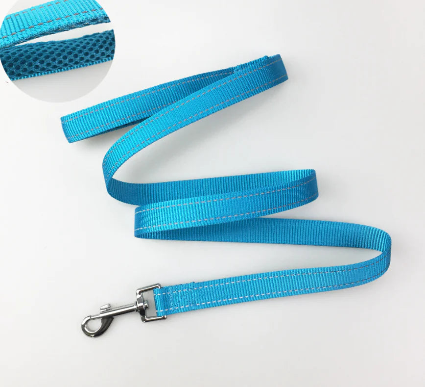 Pet Dog Harness with Leash for Walking