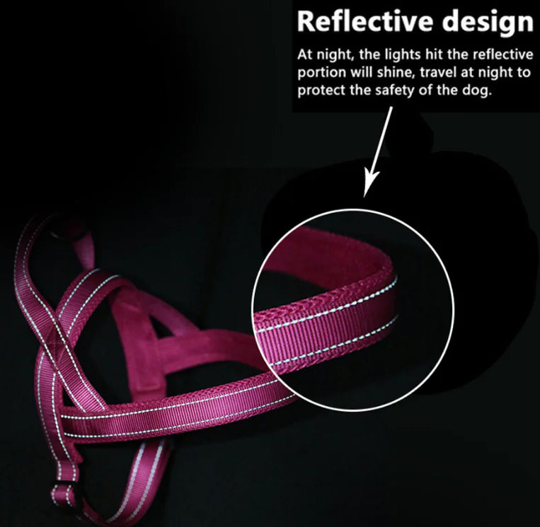 Pet Dog Harness with Leash for Walking