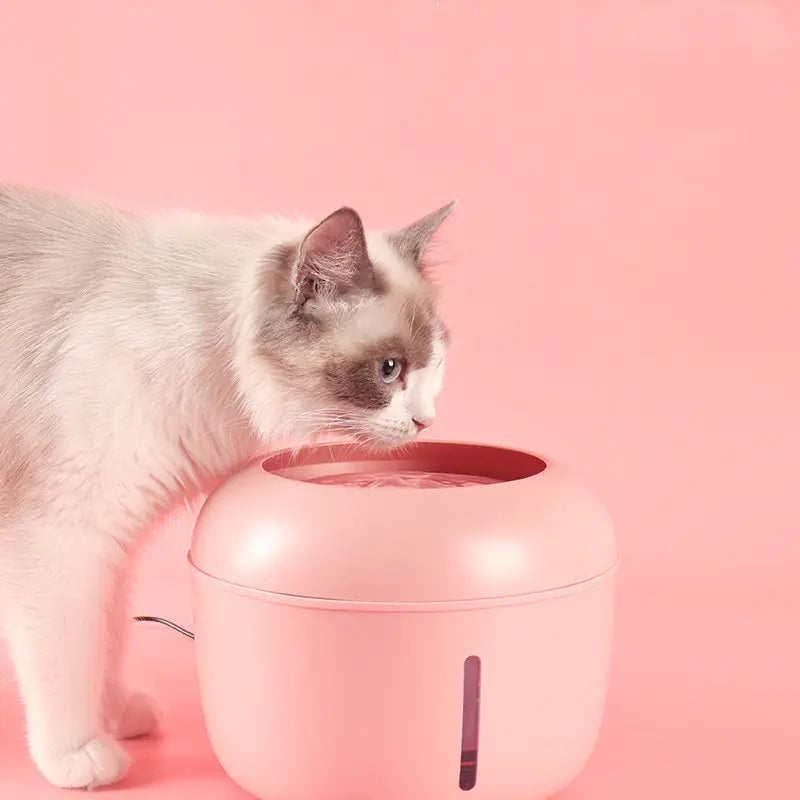 Smart Water Filter Device for Dogs