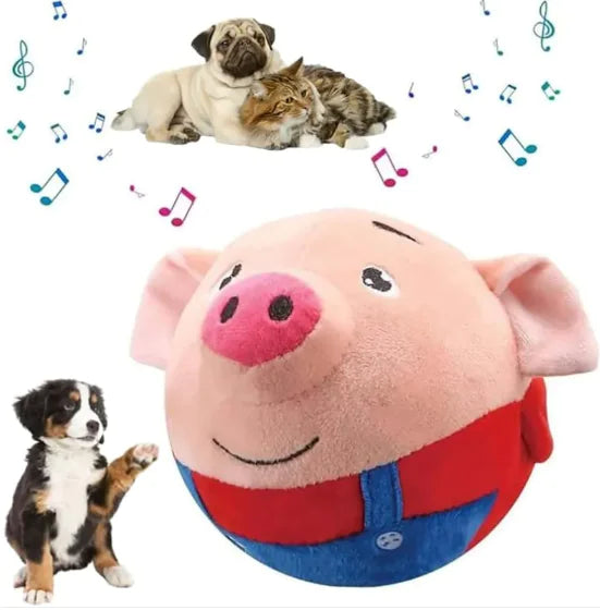 Squeaky Dog Toy